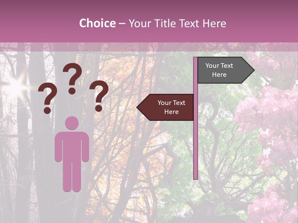 Summer Autumn Winter Spring PowerPoint Template