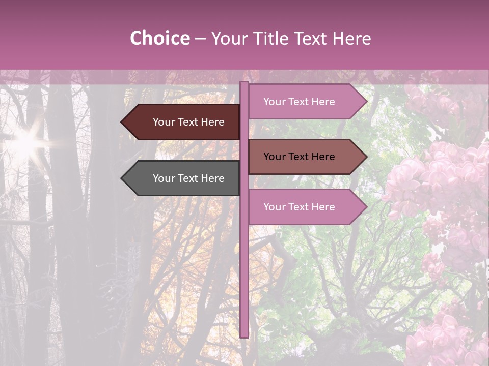 Summer Autumn Winter Spring PowerPoint Template