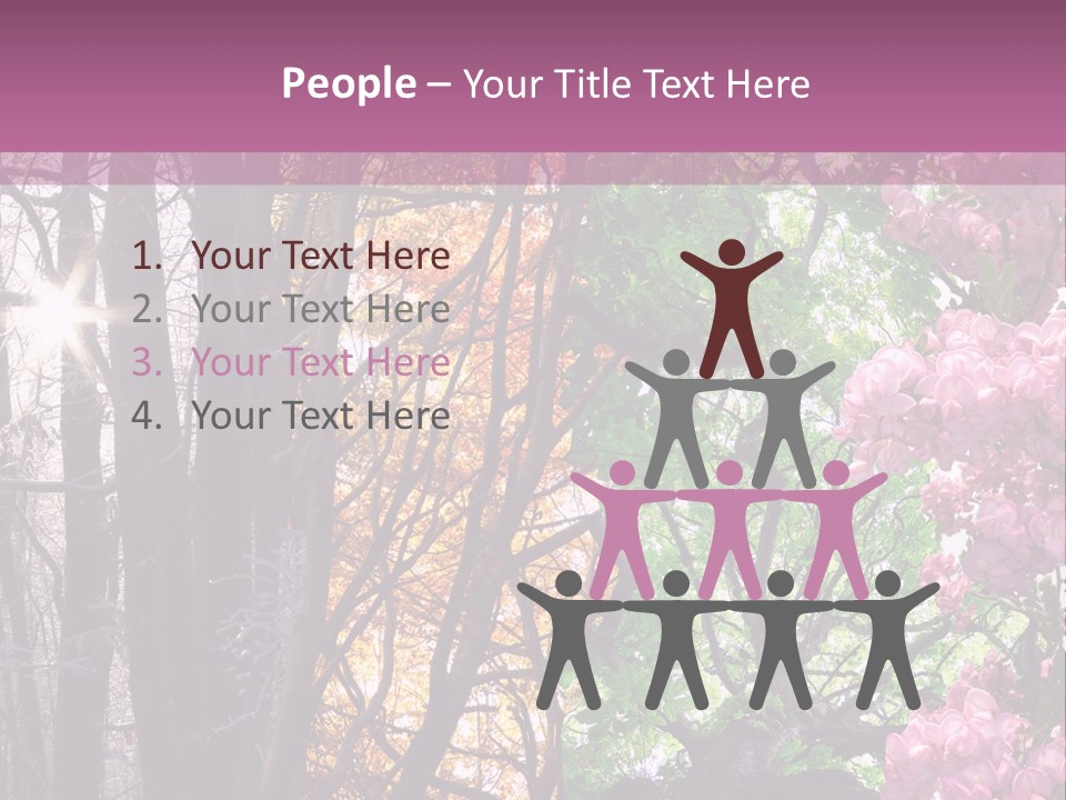 Summer Autumn Winter Spring PowerPoint Template