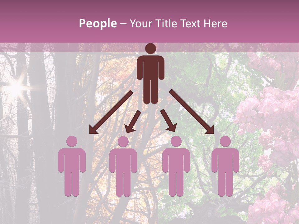 Summer Autumn Winter Spring PowerPoint Template