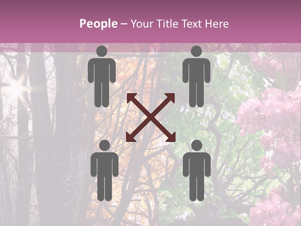 Summer Autumn Winter Spring PowerPoint Template