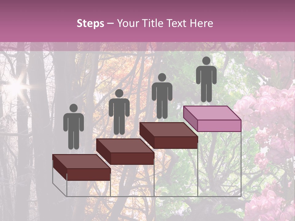 Summer Autumn Winter Spring PowerPoint Template