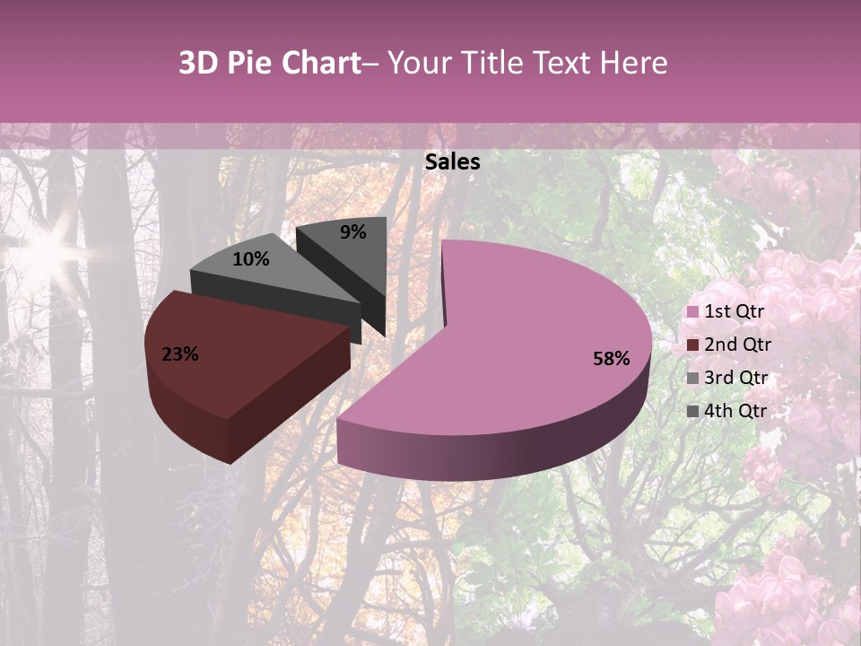 Summer Autumn Winter Spring PowerPoint Template