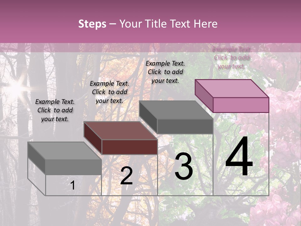 Summer Autumn Winter Spring PowerPoint Template