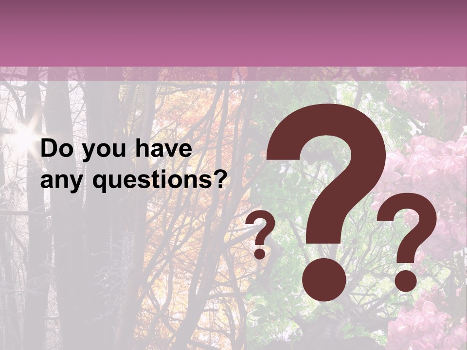 Summer Autumn Winter Spring PowerPoint Template