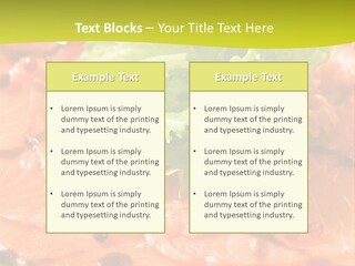 Carpaccio Z Łososia PowerPoint Template