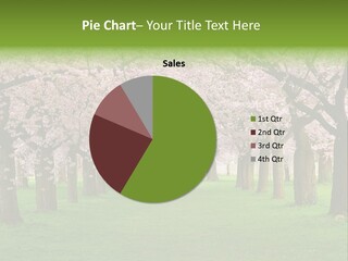 Spring Trees PowerPoint Template