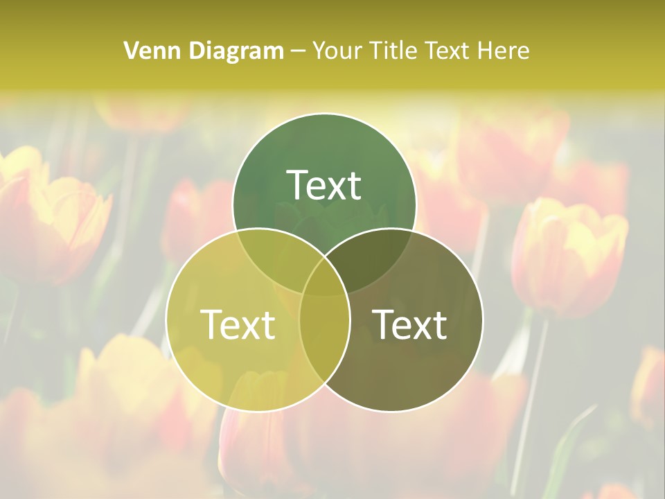 Purple Beautiful Mum PowerPoint Template