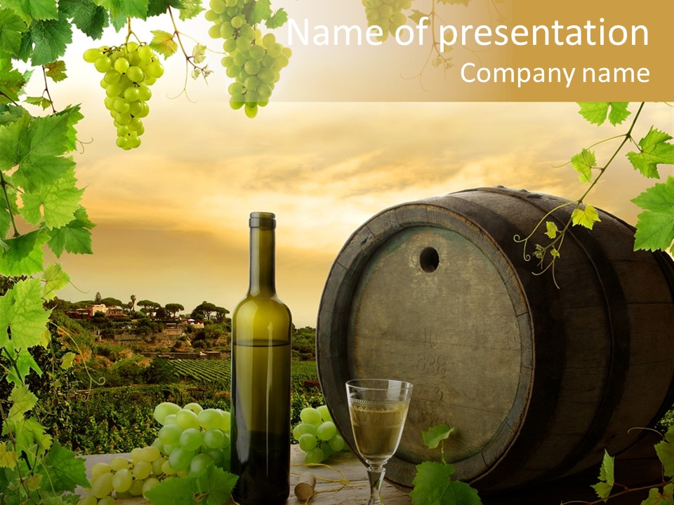 Wine Vineyard PowerPoint Template