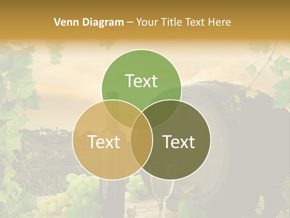 Wine Vineyard PowerPoint Template
