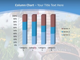 Grass Nest Outdoors PowerPoint Template