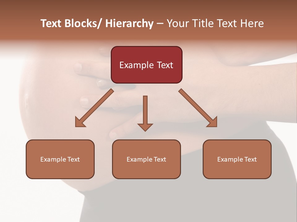 Fruition Belly Beautiful PowerPoint Template