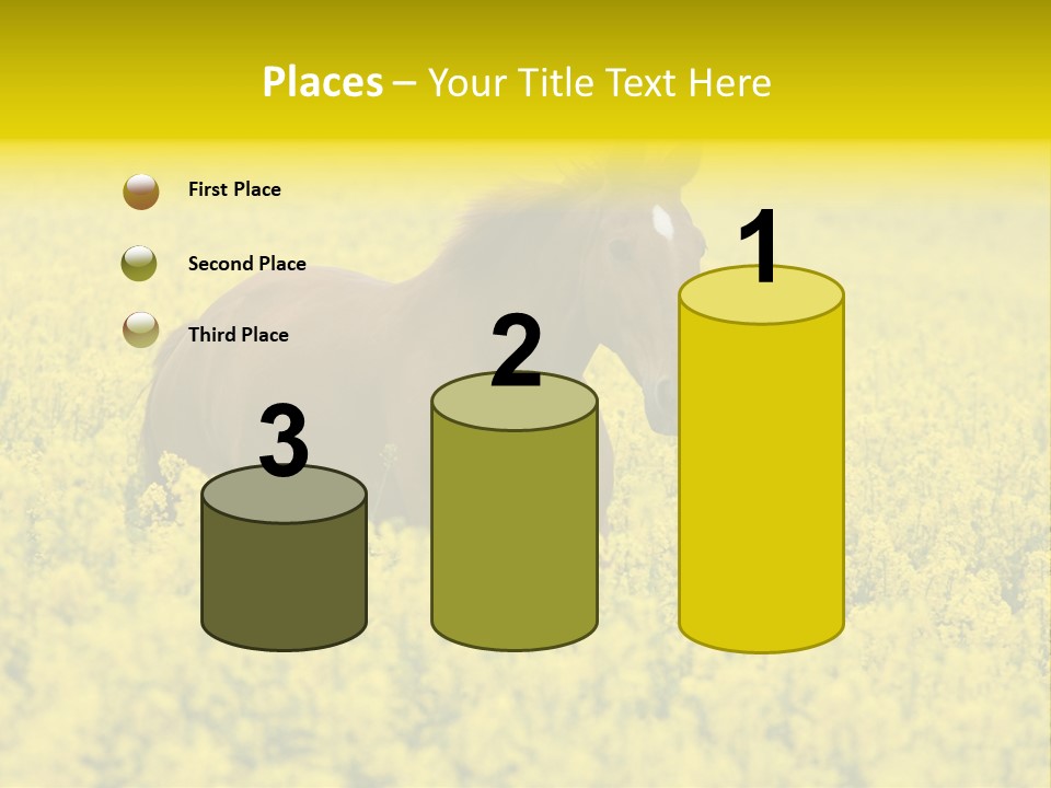 Horse In Flowers PowerPoint Template