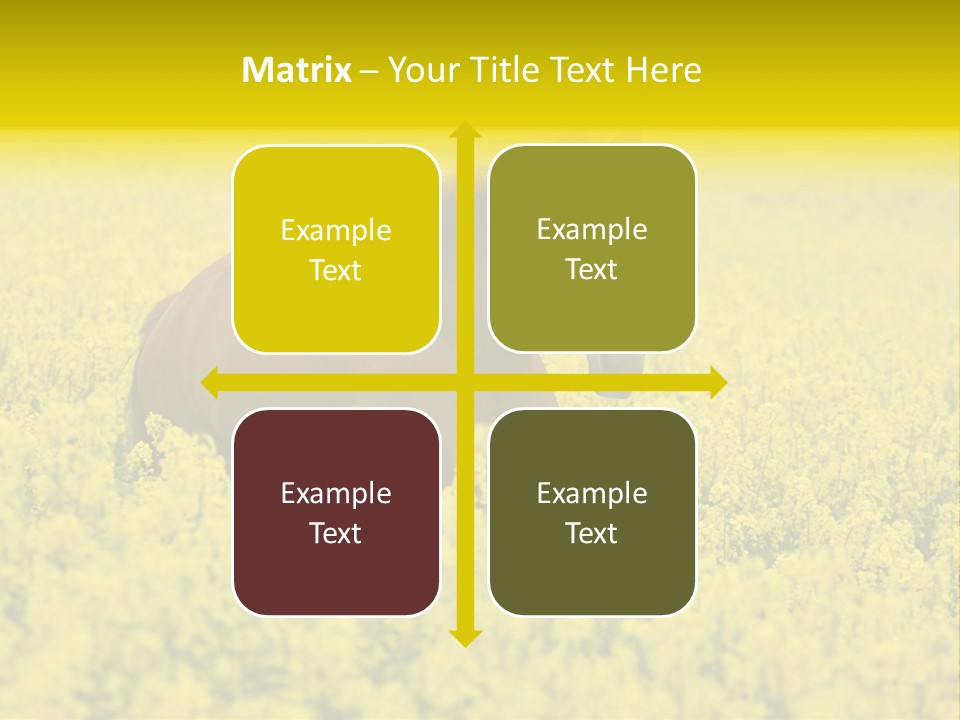 Horse In Flowers PowerPoint Template