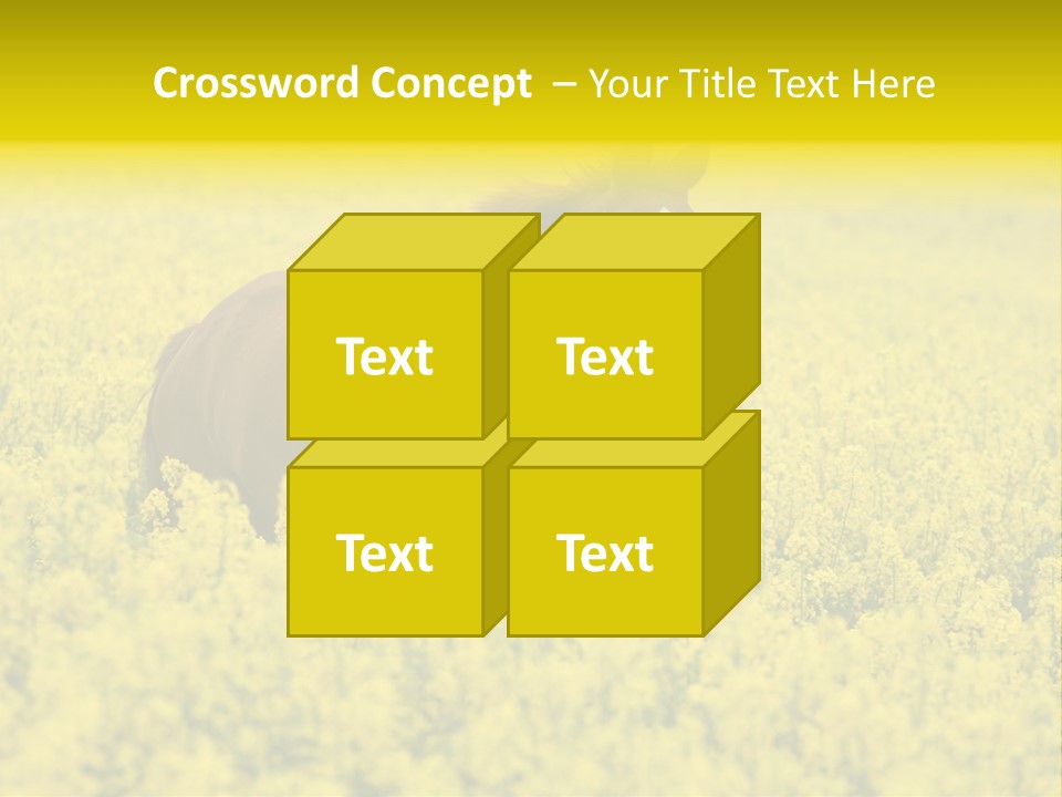 Horse In Flowers PowerPoint Template