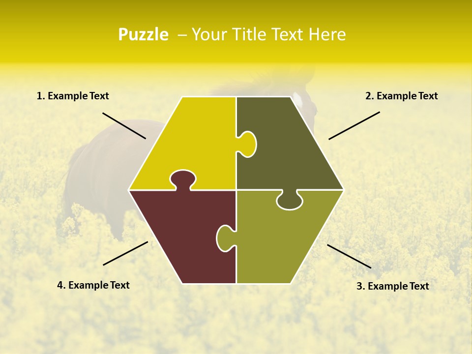 Horse In Flowers PowerPoint Template