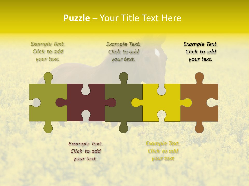 Horse In Flowers PowerPoint Template