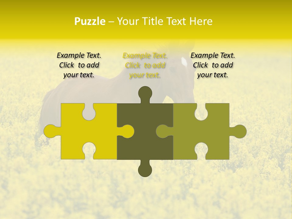 Horse In Flowers PowerPoint Template