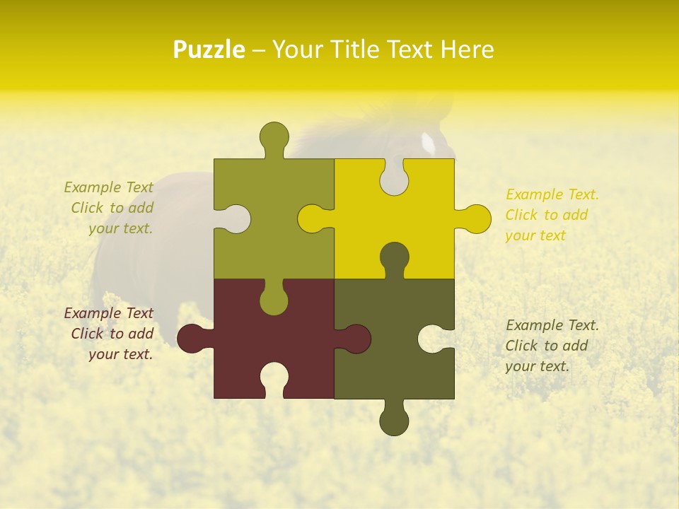 Horse In Flowers PowerPoint Template