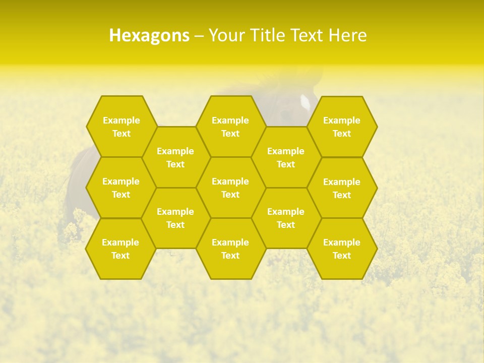 Horse In Flowers PowerPoint Template