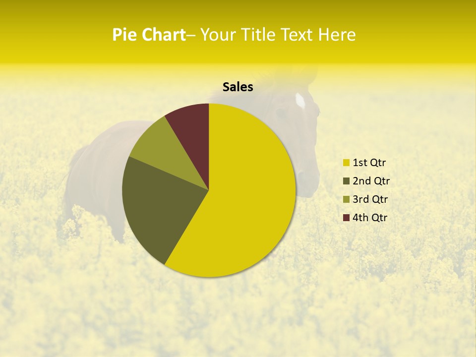 Horse In Flowers PowerPoint Template