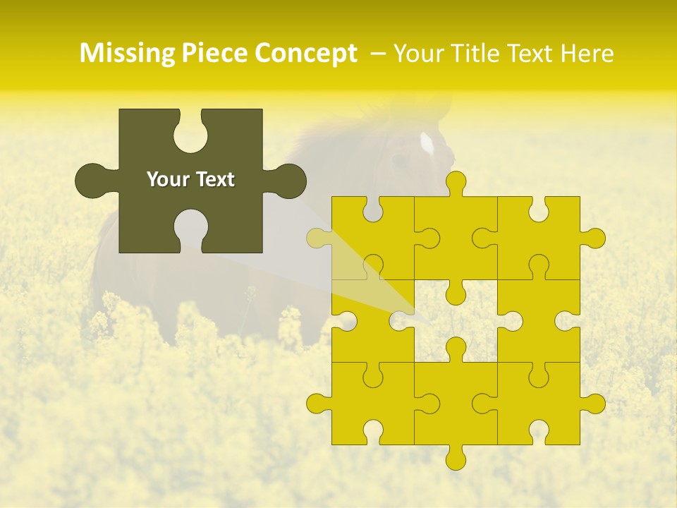 Horse In Flowers PowerPoint Template