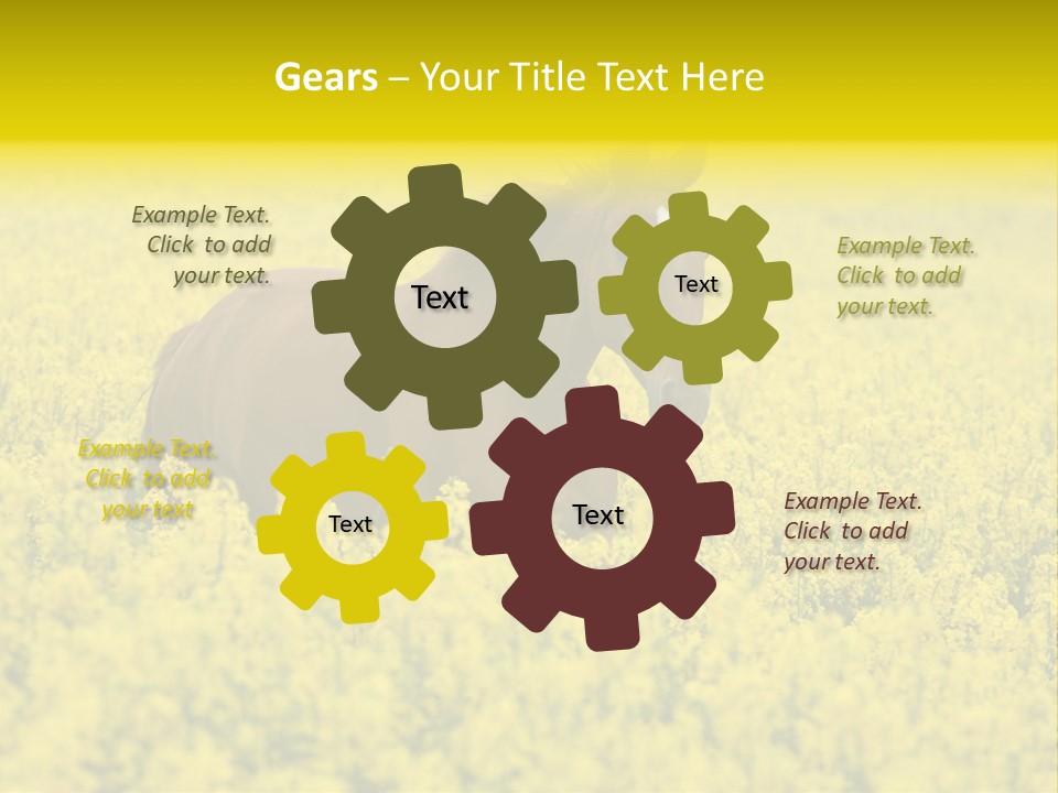 Horse In Flowers PowerPoint Template