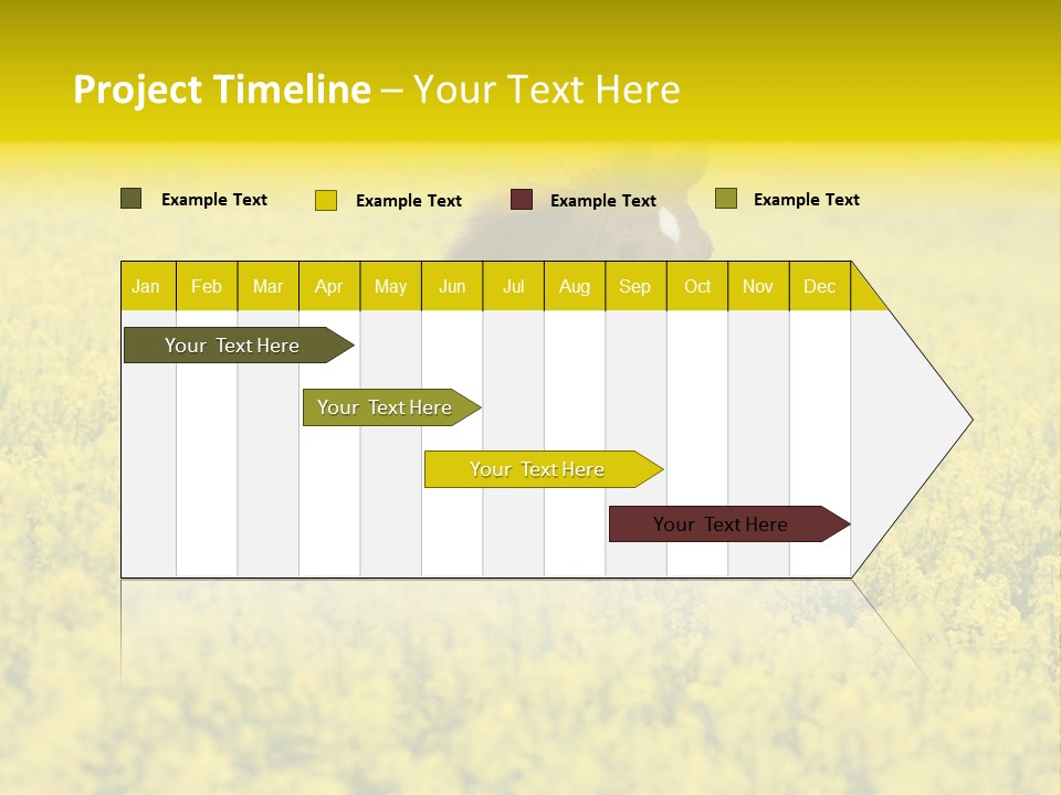 Horse In Flowers PowerPoint Template