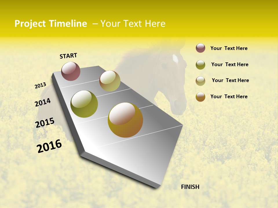 Horse In Flowers PowerPoint Template