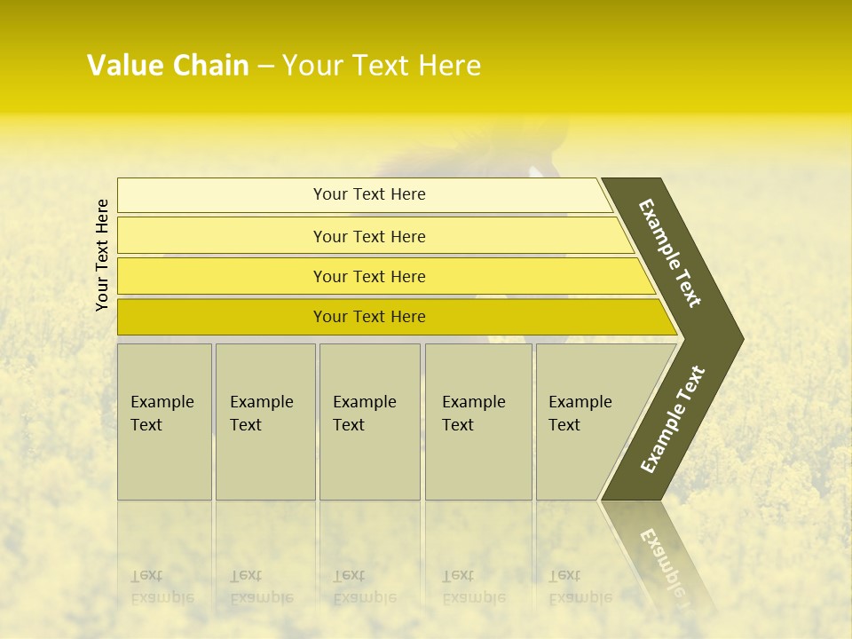 Horse In Flowers PowerPoint Template