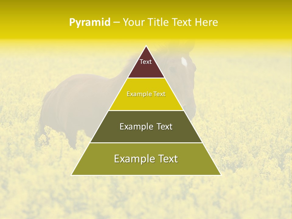 Horse In Flowers PowerPoint Template