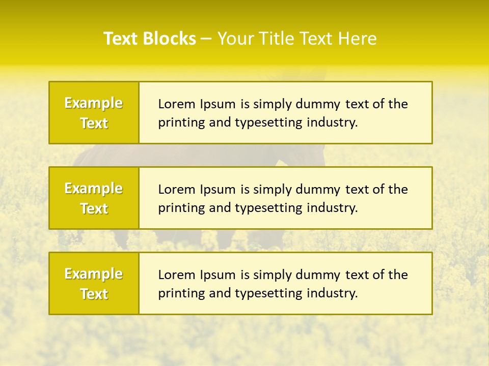 Horse In Flowers PowerPoint Template