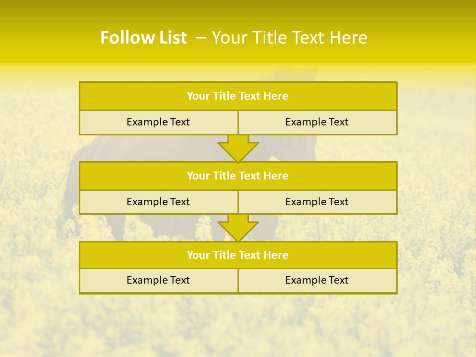 Horse In Flowers PowerPoint Template