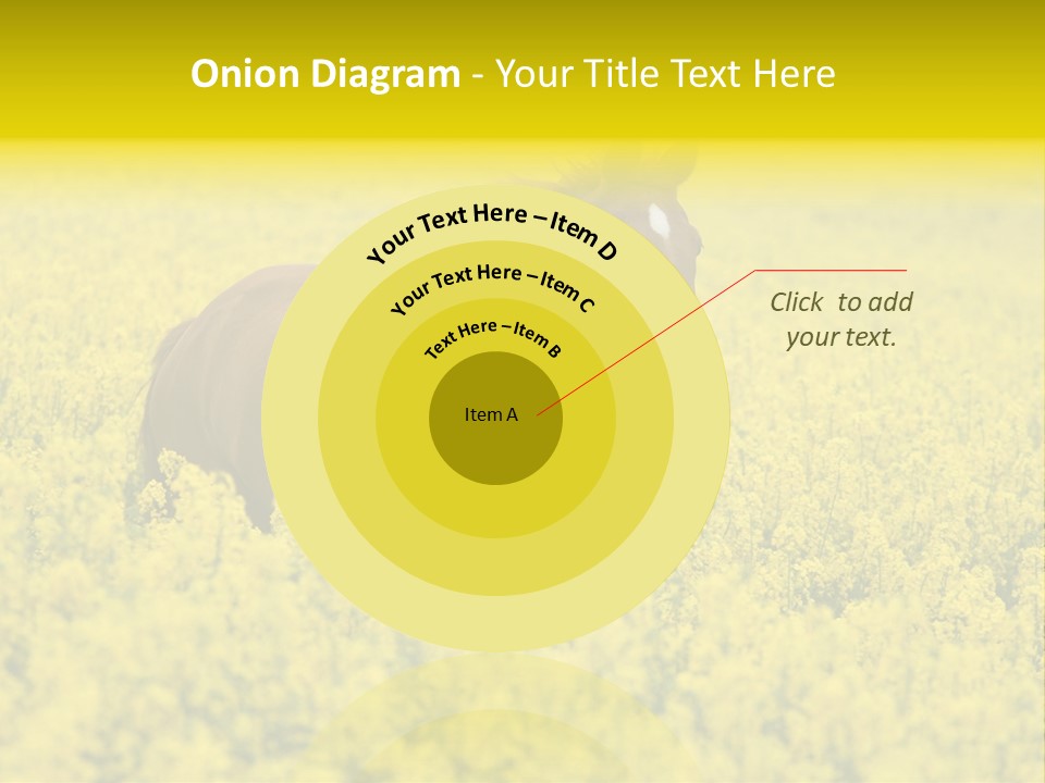 Horse In Flowers PowerPoint Template