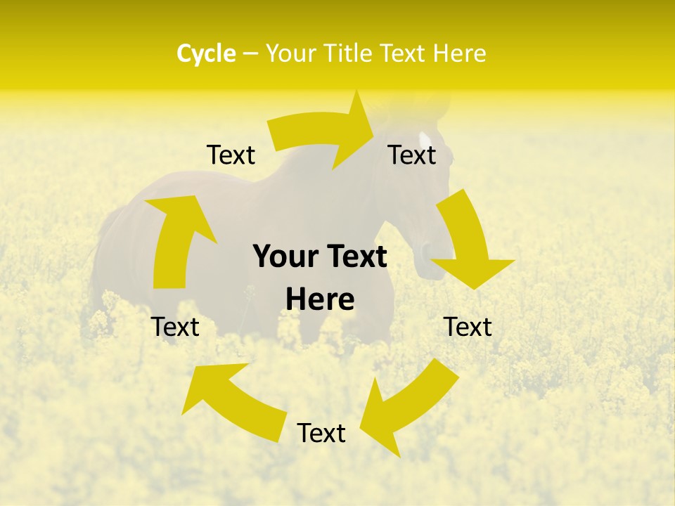 Horse In Flowers PowerPoint Template