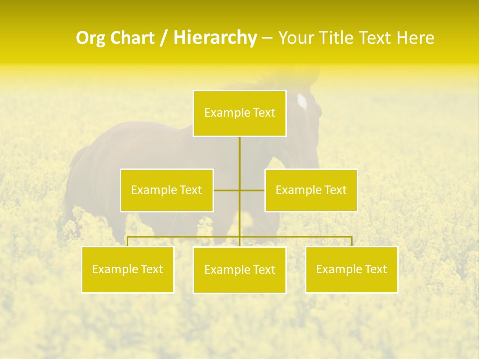 Horse In Flowers PowerPoint Template