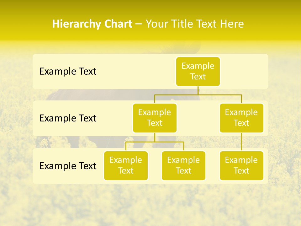 Horse In Flowers PowerPoint Template