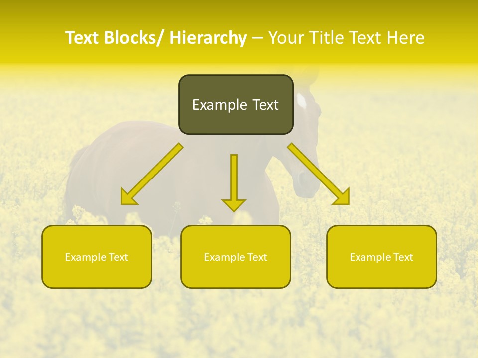 Horse In Flowers PowerPoint Template