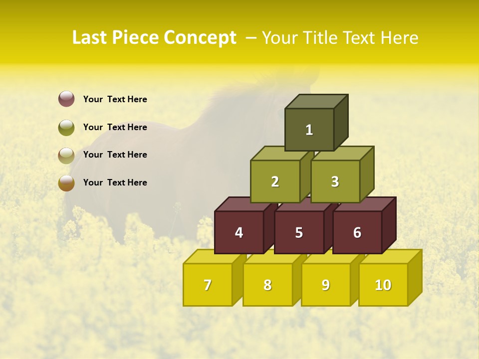 Horse In Flowers PowerPoint Template