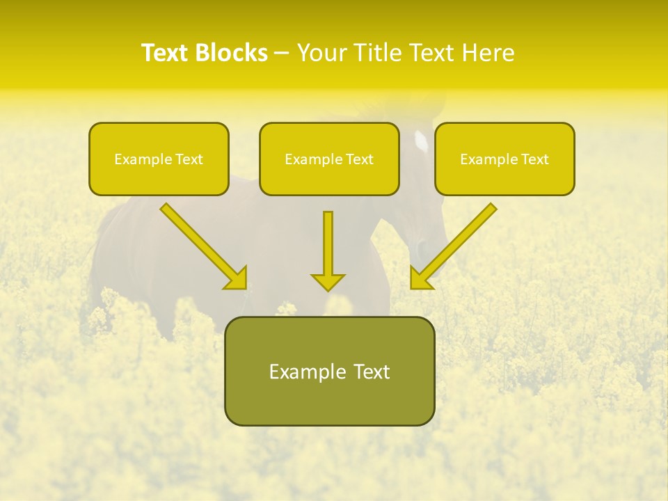 Horse In Flowers PowerPoint Template