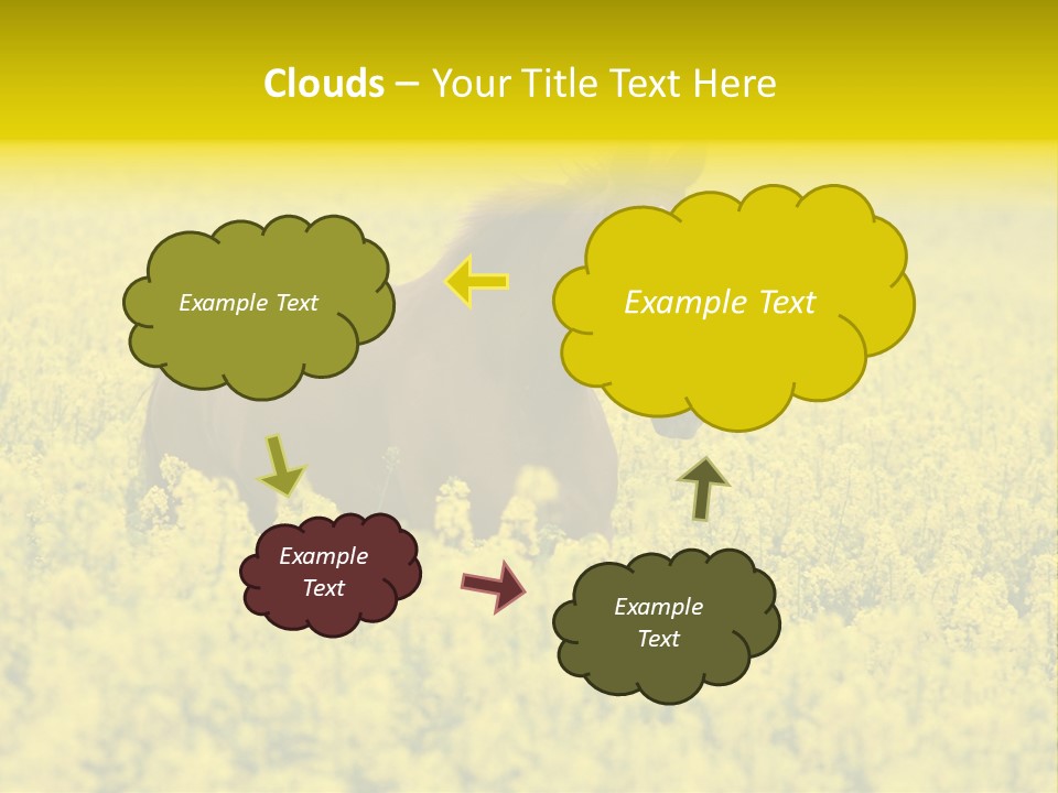 Horse In Flowers PowerPoint Template