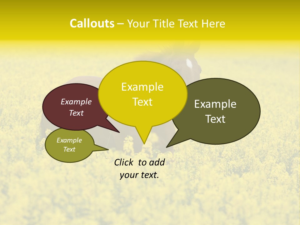 Horse In Flowers PowerPoint Template