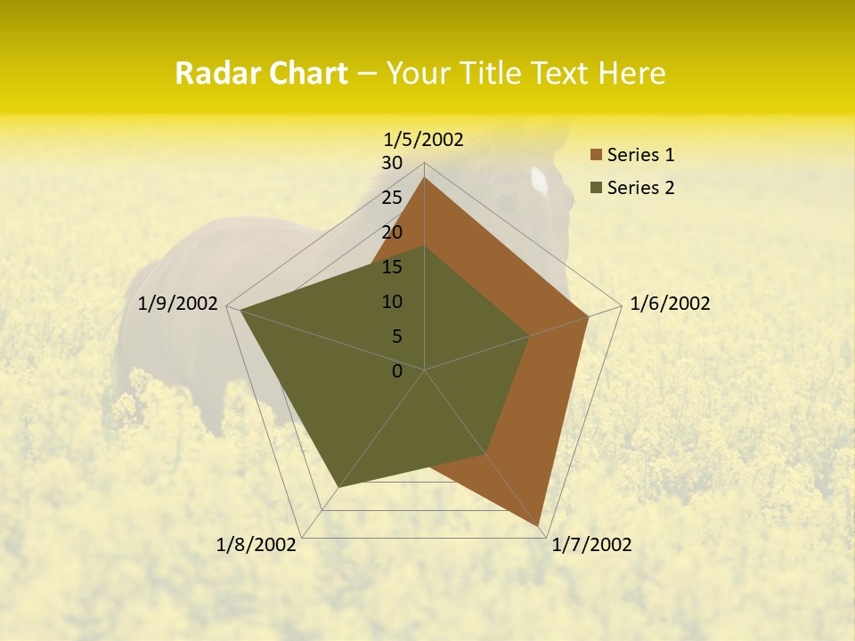 Horse In Flowers PowerPoint Template