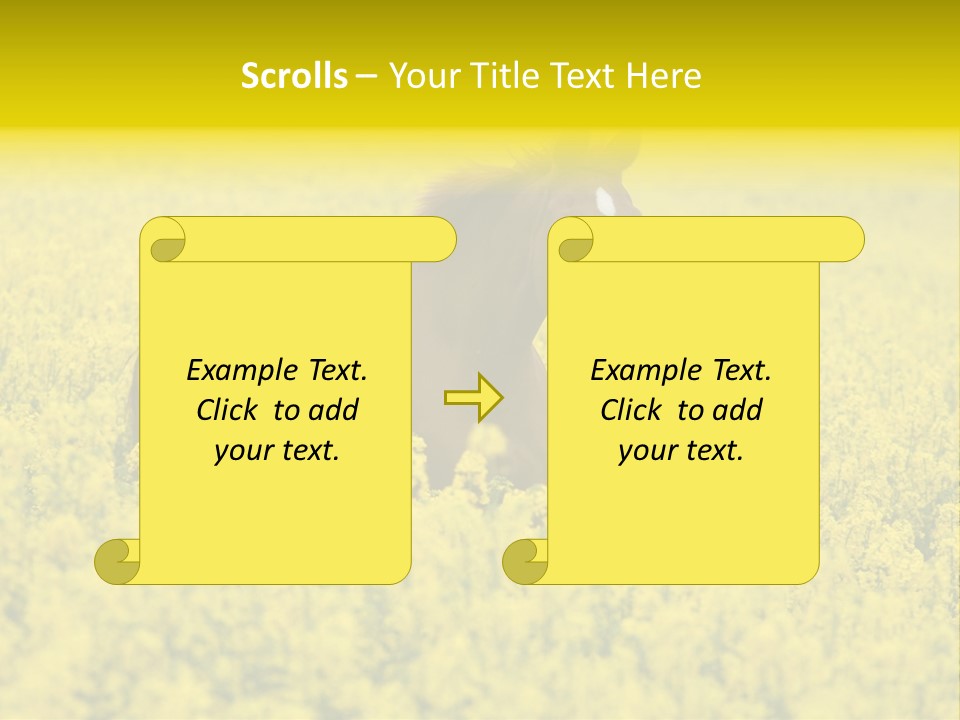 Horse In Flowers PowerPoint Template