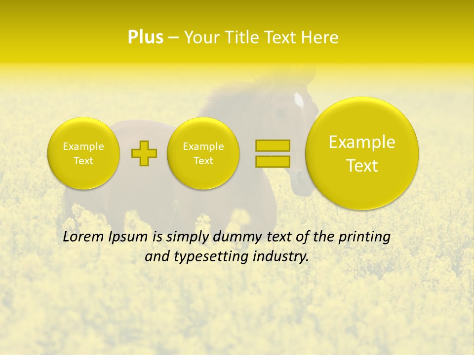Horse In Flowers PowerPoint Template