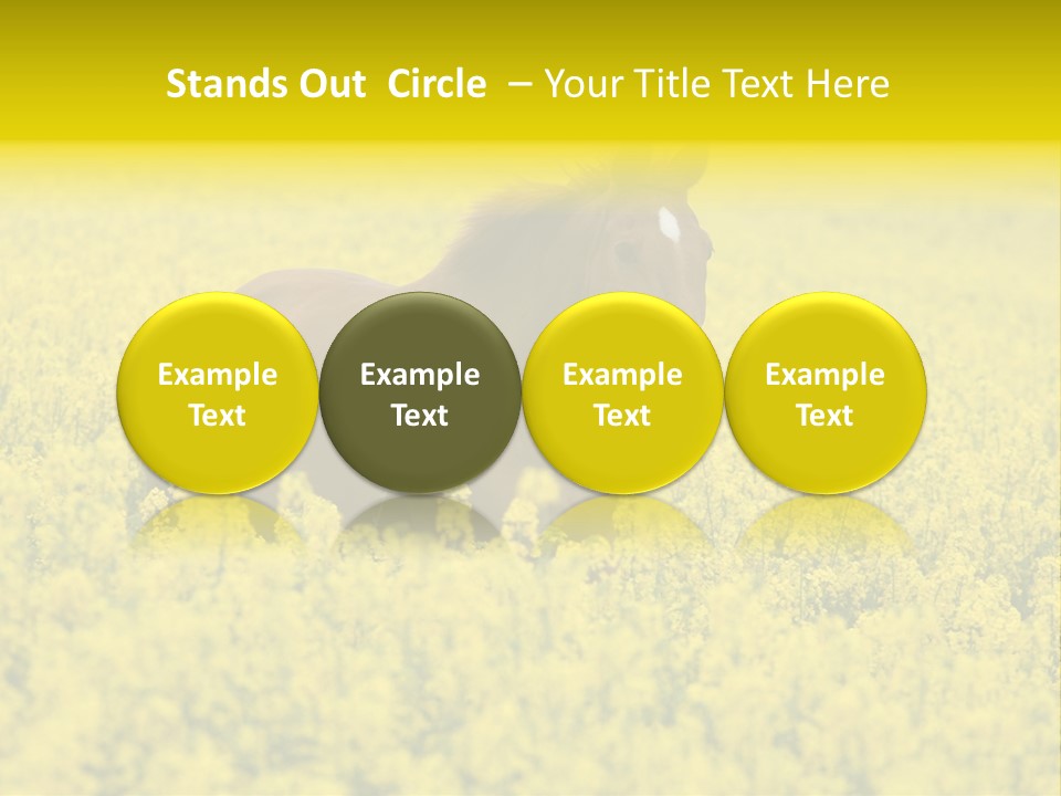 Horse In Flowers PowerPoint Template