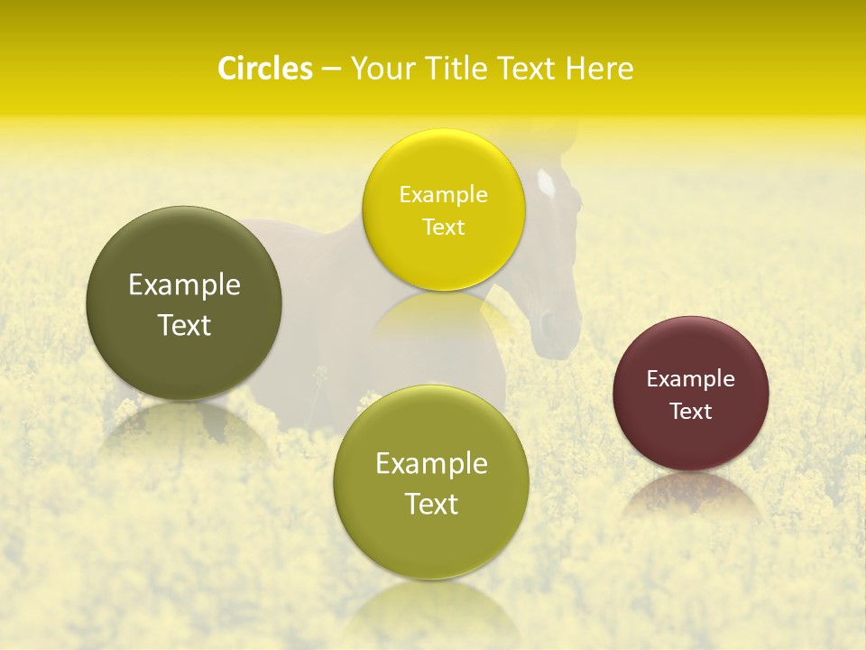 Horse In Flowers PowerPoint Template