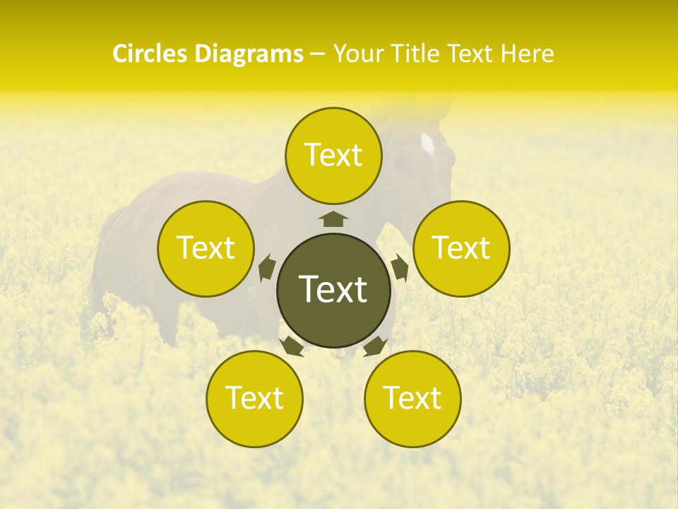 Horse In Flowers PowerPoint Template