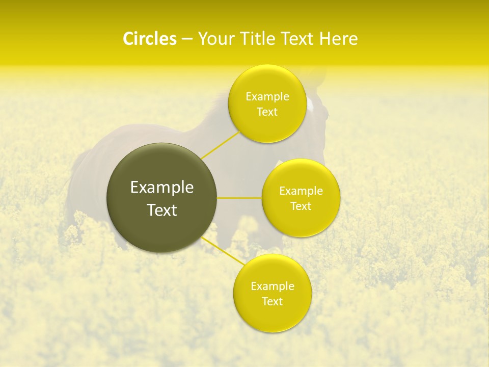 Horse In Flowers PowerPoint Template