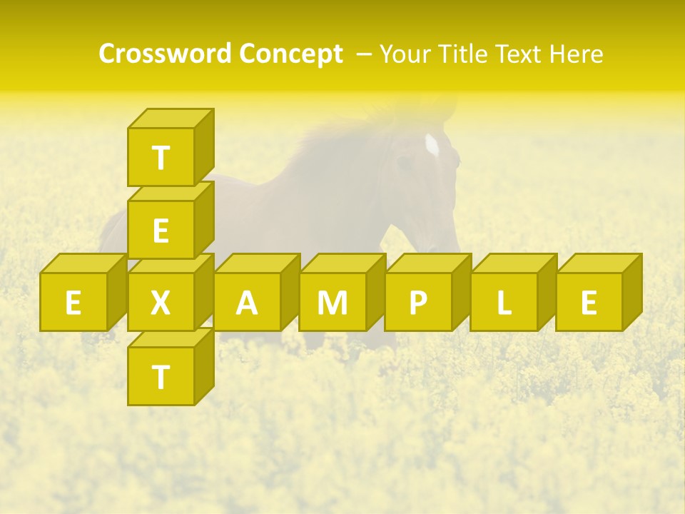 Horse In Flowers PowerPoint Template